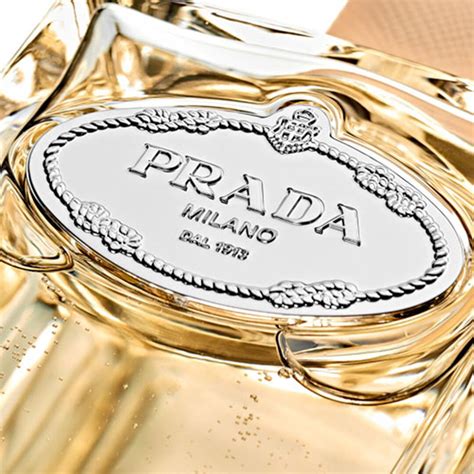 prada infusion d'oranger|Prada infusion of oranger.